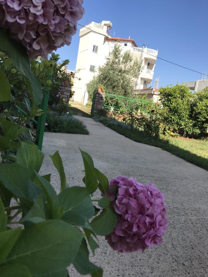 Villa Roku 卡萨米尔 外观 照片